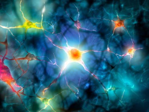 Common Symptoms of Multiple Sclerosis - Oren Zarif