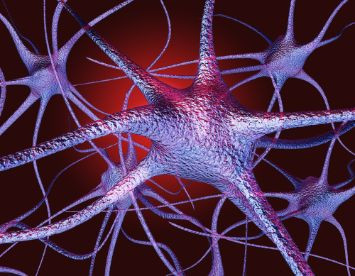 Some Multiple Sclerosis Symptoms That May Include Depression - Oren Zarif