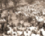 Protestors at Entrance rawImage_edited.jpg