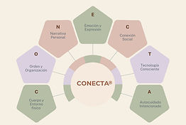 Diagrama del Modelo CONECTA, propuesta original de Dra. Ivónne Torres para intervención psicoambiental, salud mental, entorno cotidiano y bienestar basado en evidencia.