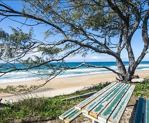 table on the top of the sand dune looking out to the beach with blue water and a blue sky