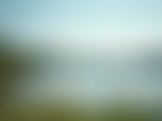 Understanding Mental Health: Key Insights from Experts