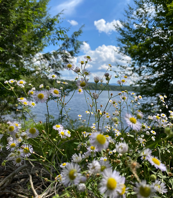 Screen Shot 2024-09-16 at 9.17.35 PM.png