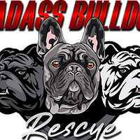 badass logo png 300dpi_edited_edited.png