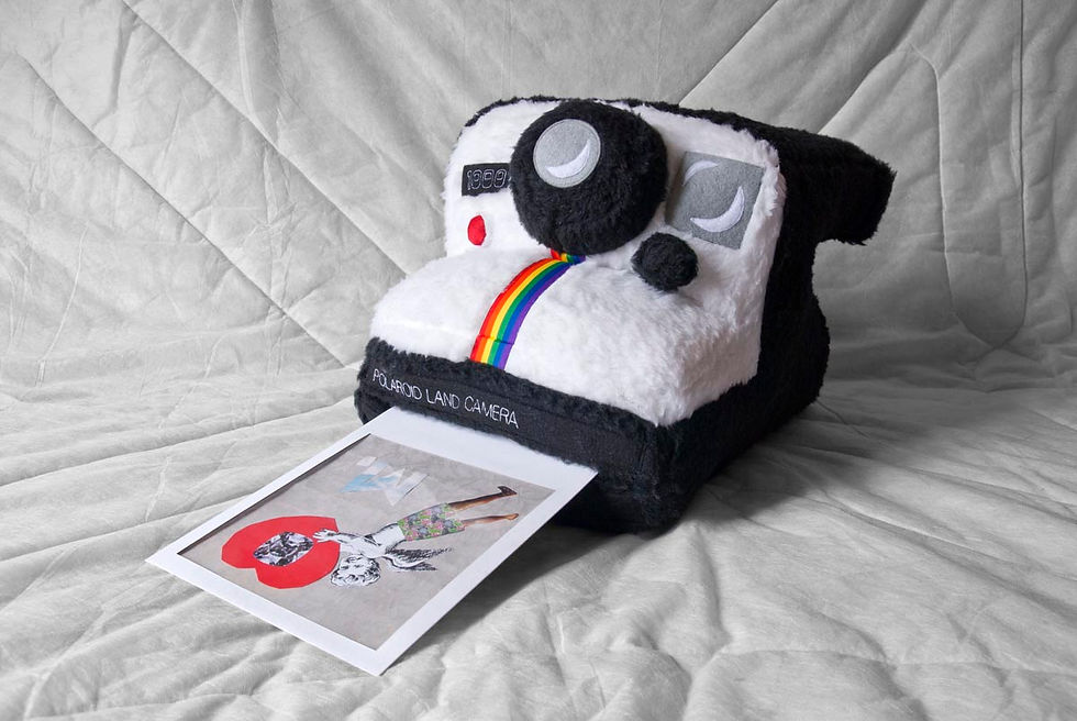 Polaroid géant