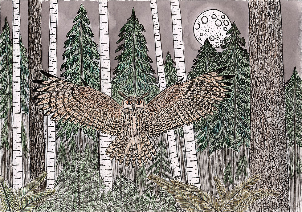 Animal totem : Hibou