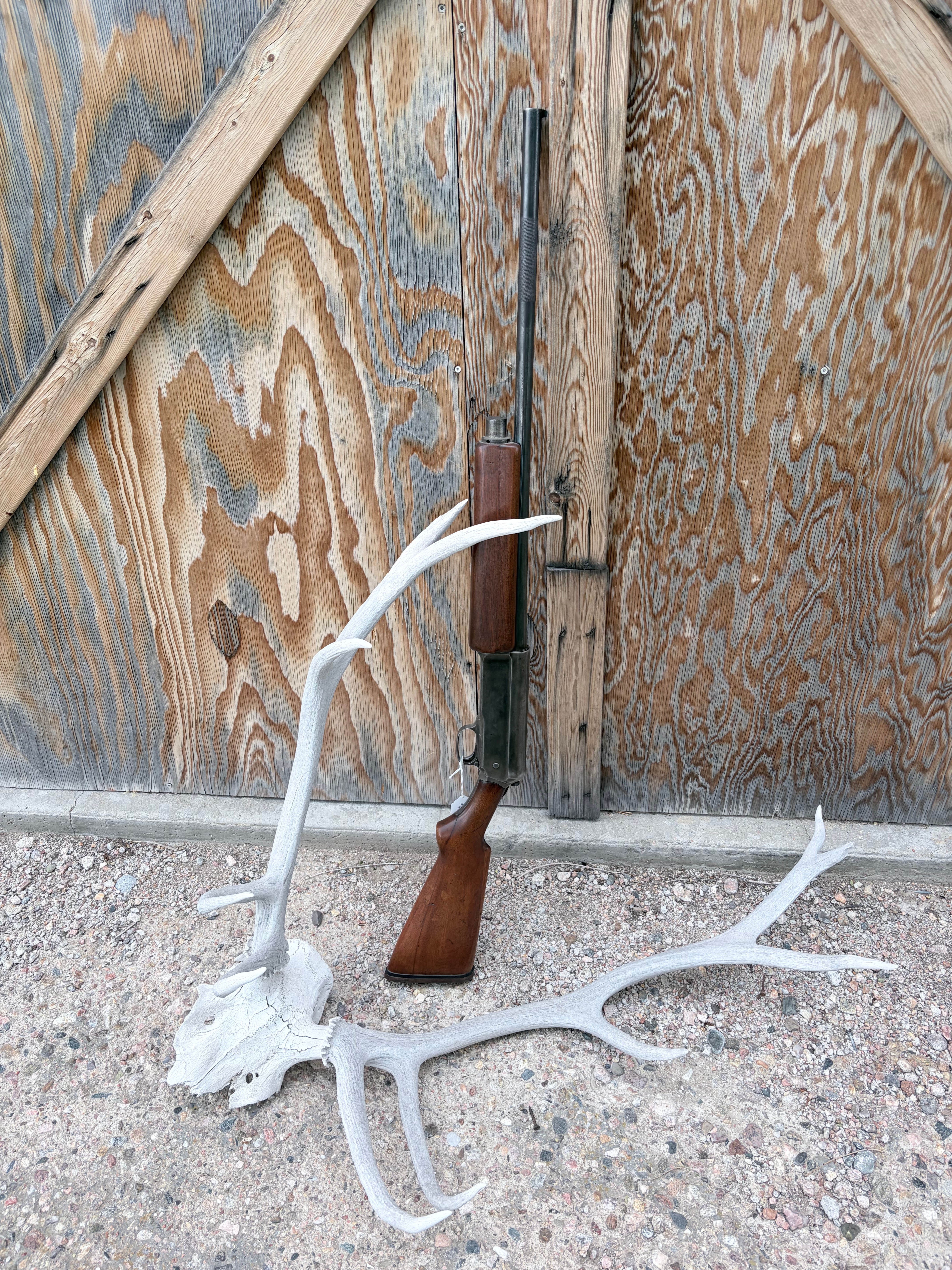 Winchester 1911 shotgun 12 ga.