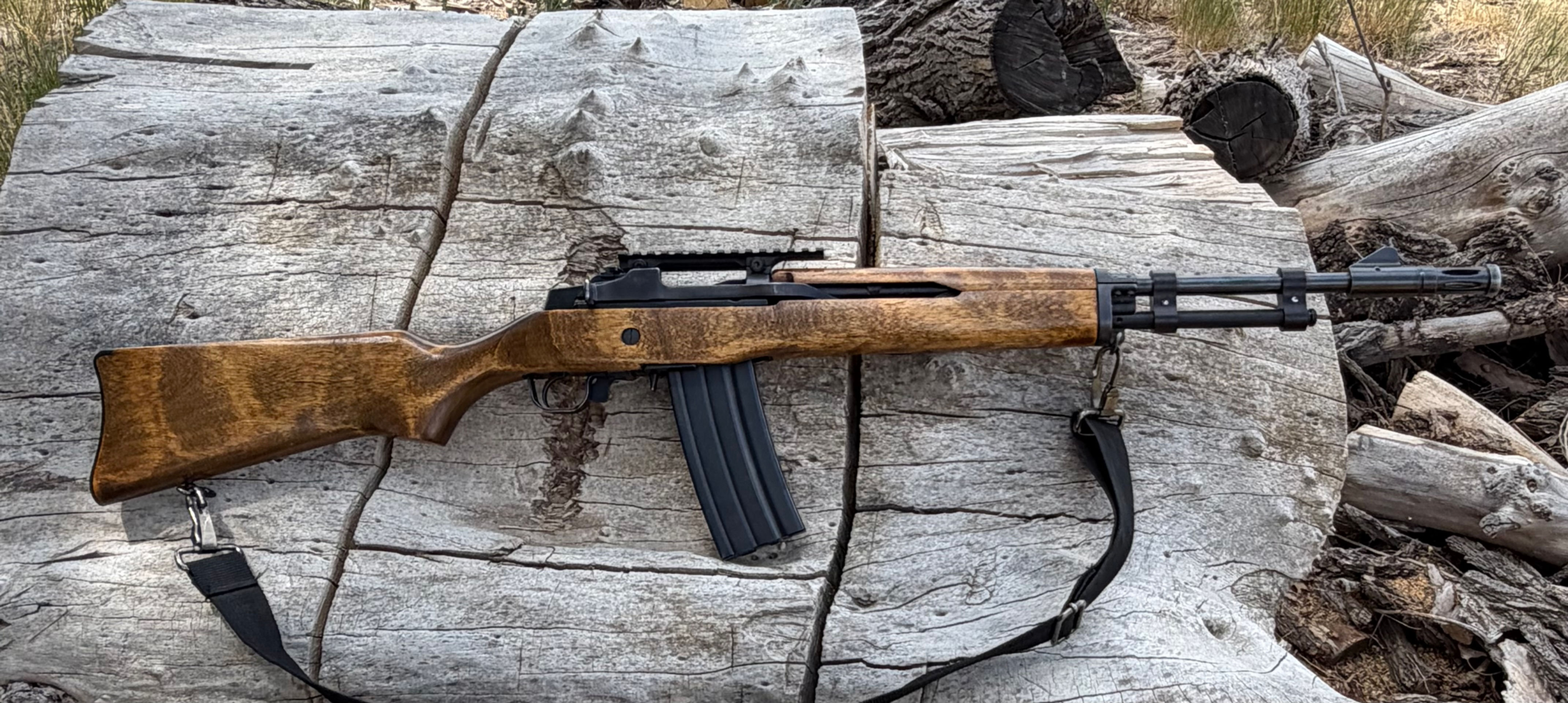 Ruger mini 14 223