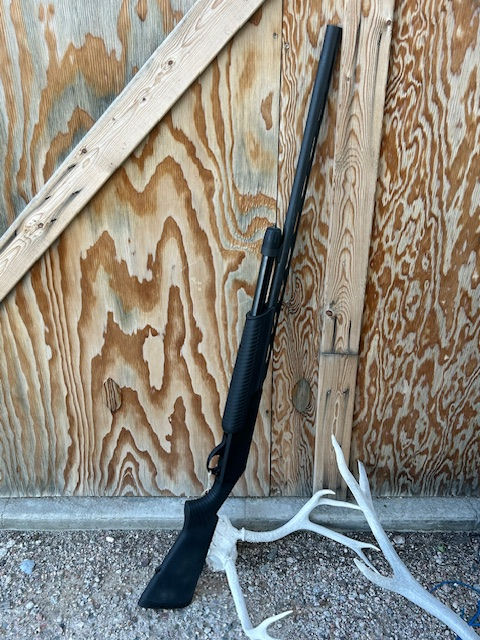 Stoeger P350 pump 12 ga shotgun