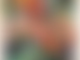 Muir-maid, August 2025 