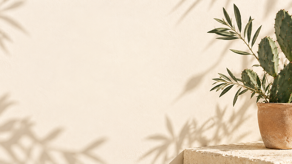 Sunlit Mediterranean Cactus Corner.png