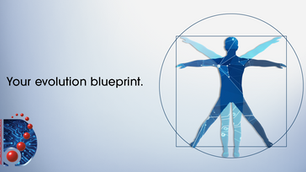 The Anatomy of a Cyber-Ready Business