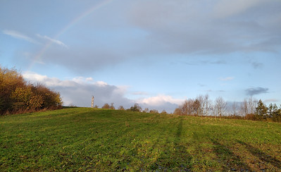 IMG_20221125_085101266_HDR.jpg