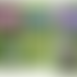 Newsletter #9 LE VER BLEU | Avril 2020 | Fleurs sauvages & Potager éducatif 