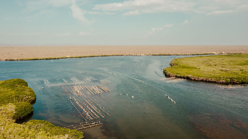 DJI_0860.jpg