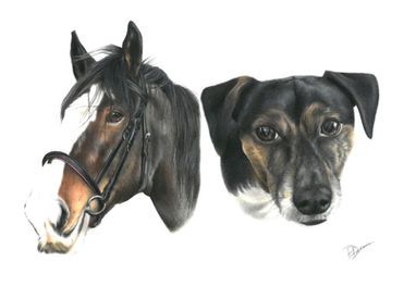 horse and dog drawing 