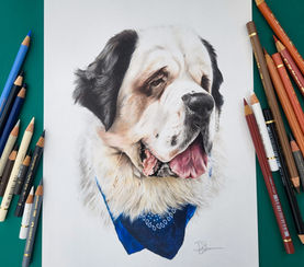 Dog portrait