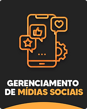Gerenciamento de MS
