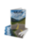 D.R.I.V.E. STACKED BOOK.PNG