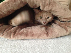 Luna_in_Schlummerhöhle