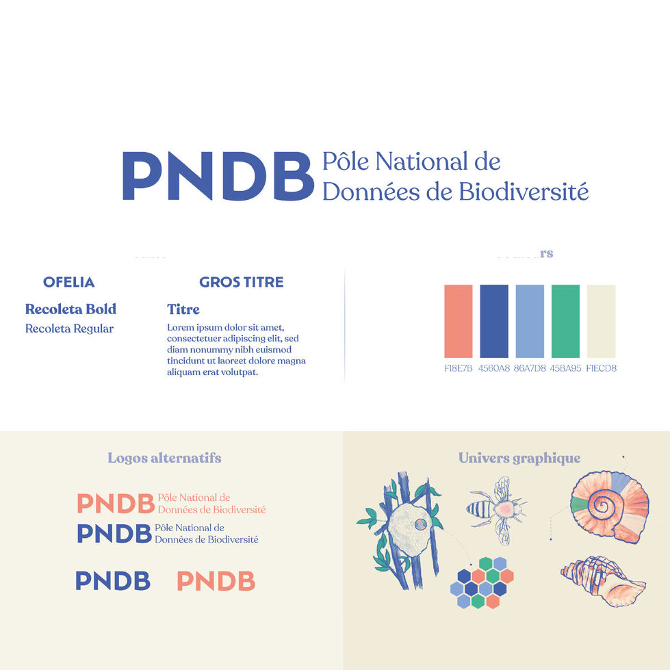 PNDB-Clemaya-04