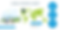 Market Outlook of Premium Car Rental