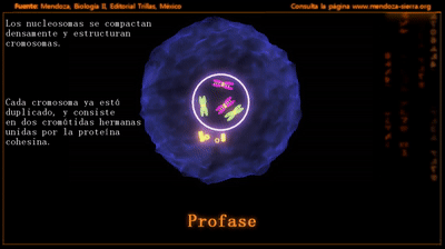 J_5bKz.gif