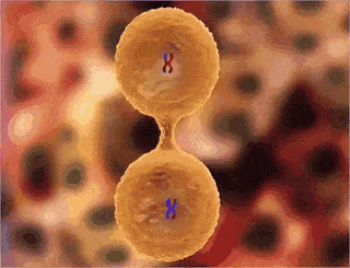 cd27f26e-0045-480c-8be1-abd83b1e6b4e.gif