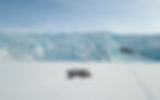 Svalbard