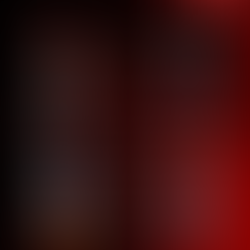 CLUB : les résultats du week-end de la section féminine (25-27.11)