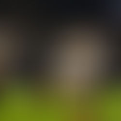 🗞️ D1 (J9) : trois points de plus contre Reims !