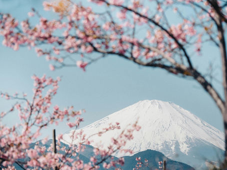Best Cherry Blossom Photography Locations in Japan