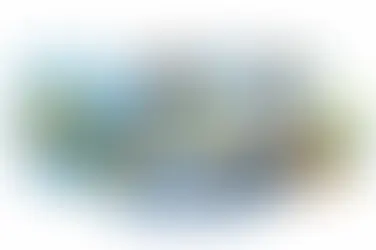 Tech Staffing Solutions