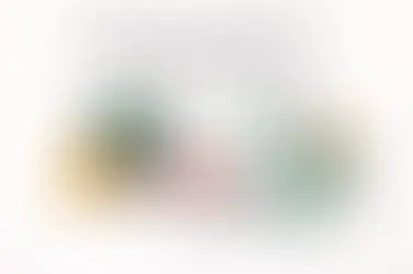 employer of record EOR India monthly fee