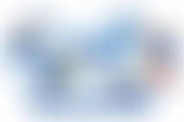 India EOR vs subsidiary