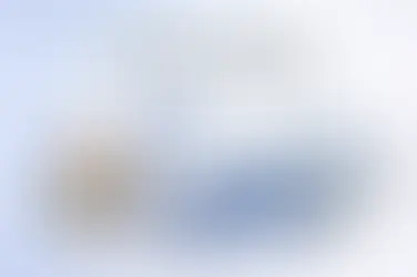 employer of record near me Delhi