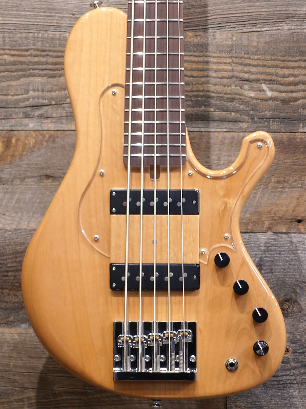 saitias guitars