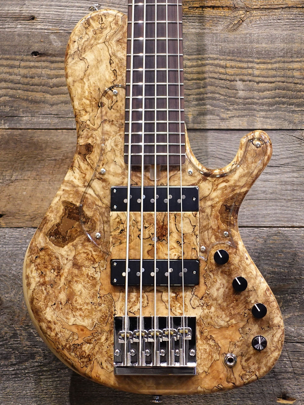 saitias guitars