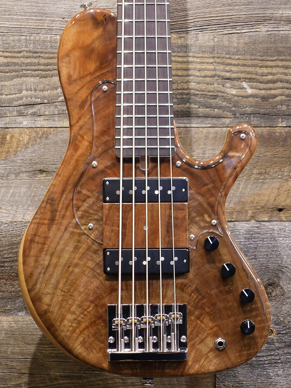 saitias guitars