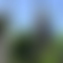 Desde este martes 13 comenzarán los cortes de luz a vecinos con conexiones irregulares que fueron notificados y no se acercaron a regularizar