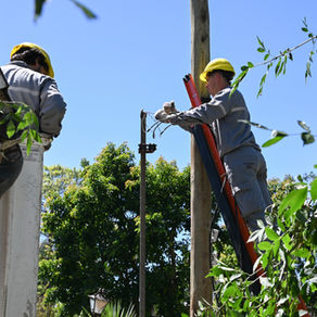 Desde este martes 13 comenzarán los cortes de luz a vecinos con conexiones irregulares que fueron notificados y no se acercaron a regularizar