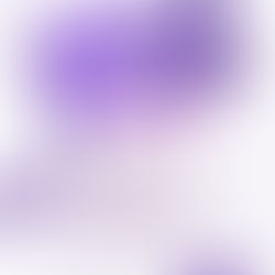 Villa Gobernador Gálvez realizará una jornada cultural en el Punto Violeta por el Día Internacional de la Mujer