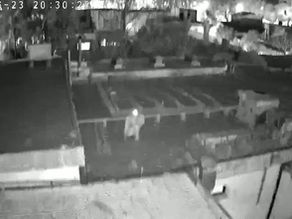 Intentaron robar nuevamente cañerías del Hospital Dr. Anselmo Gamen y el delincuente fue filmado