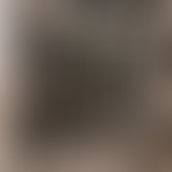 Incendio intencional de una vivienda de Magallanes al 2000