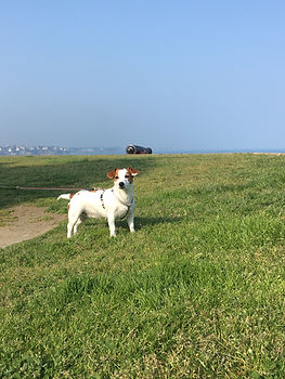 IMG_2123.jpeg