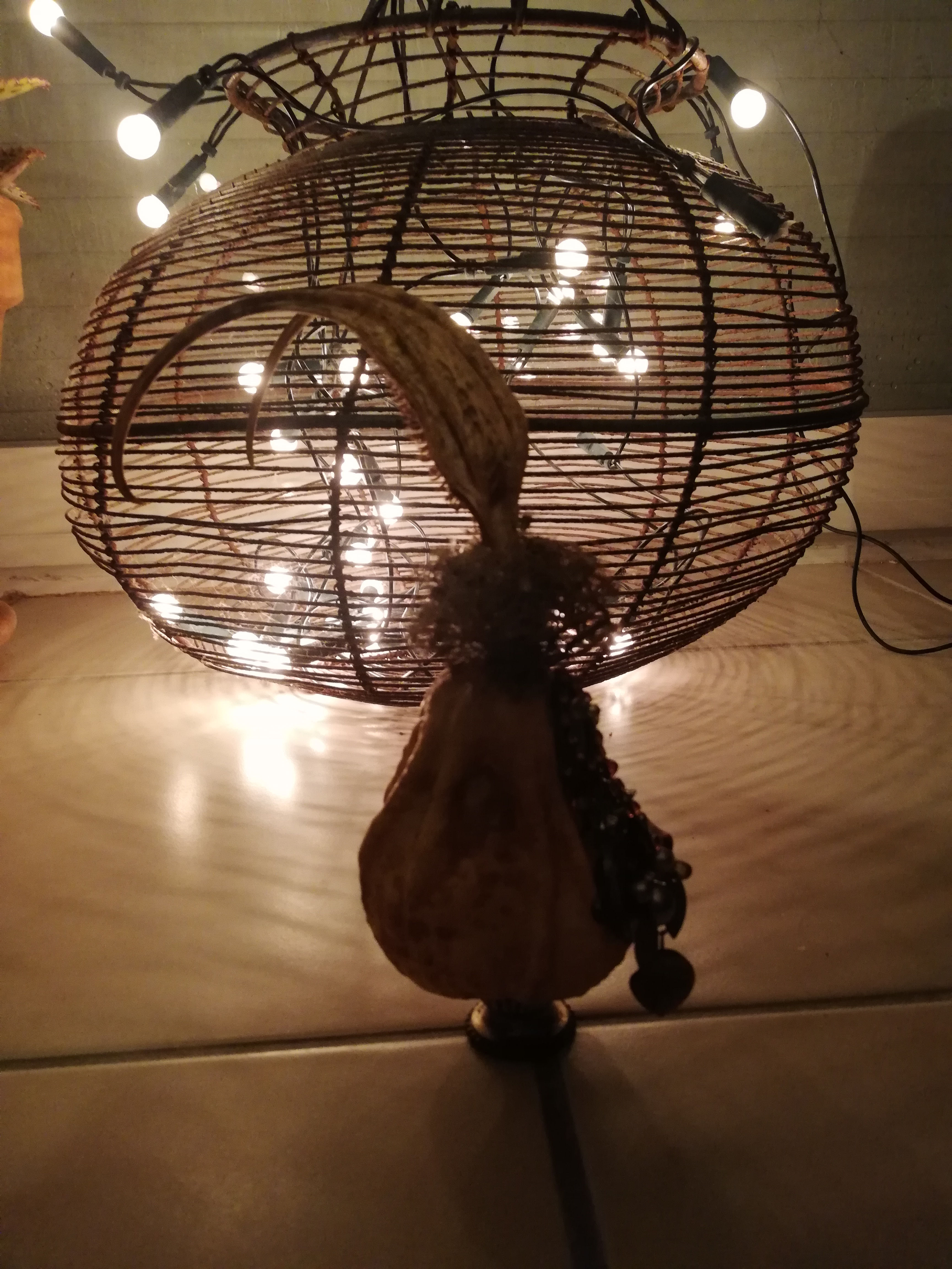 Coloquinte extra-terrestre en costume d'apparat