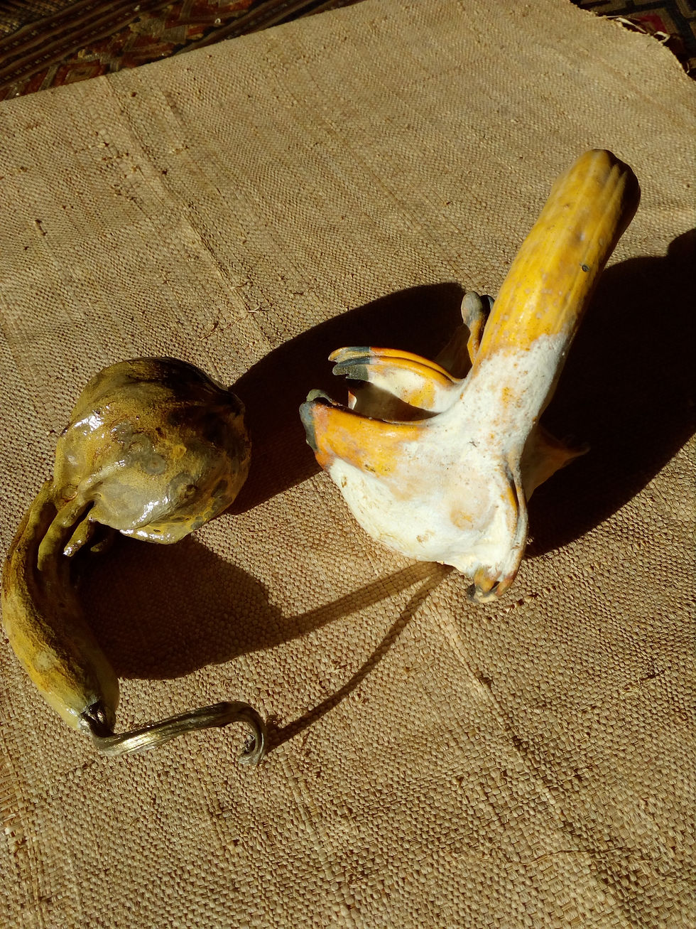 Miniature : Duo de coloquintes dansantes