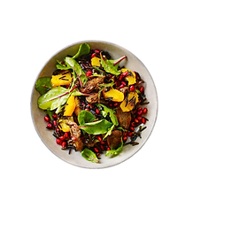 A New Design (5).png
