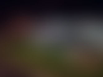 Christbaum Illuminierung beim Forum Silberbichl