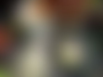 ÜBUNG - Menschenrettung aus Höhen und Tiefen